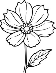 Cosmos flower plant black outline vector and illustration, coloring book page