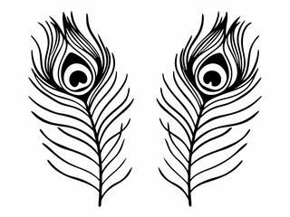 Clean Peacock Feather Icon Symmetrical Design Detailed Vector Art