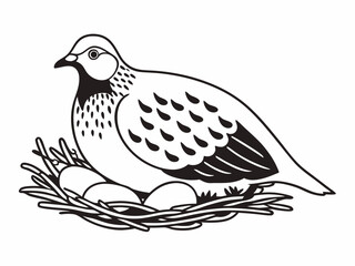 Modern Partridge Icon Sitting On Ground Nest Eggs Partia Symbol Element