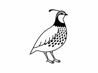 Versatile Quail Icon Standing With Plume Flat Cartoon Style Vector Illustration