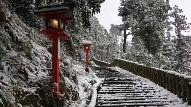 日本、京都,、比叡山、山、冬絶景、雪景色、冬の絶景、ポット、旅行、風景、旅、森,、自然、空,、冬、木、写真素材