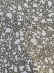 Close-Up of Terrazzo Floor Texture with White Stone Chips