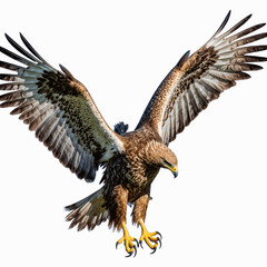 Obraz premium Soaring Eagle: An eagle soars, wings spread, against the clear sky, emblem of freedom and power.
