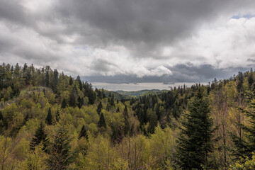 panoramica su un ambiente naturale tra gli altipiani della Slovenia occidentale, di giorno, con cielo nuvoloso, in primavera