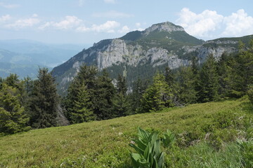 A majestic mountain landscape with a rugged peak, lush evergreen forests, and a vibrant green...