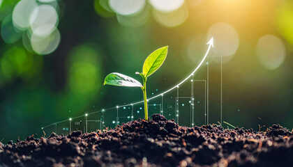 Growth plant business finance investment success future concept