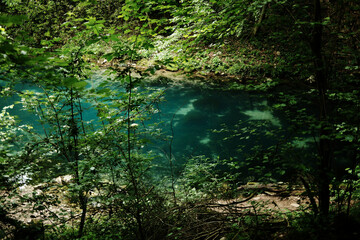 Turquoise naturel pool hidden in dense forest at Krupajsko vrelo, Serbia, surrounded by trees and...