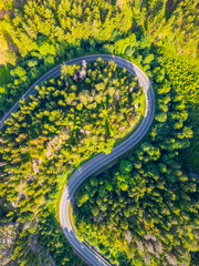A winding asphalt road snakes through a vibrant green forest valley, surrounded by tall trees and natural beauty, inviting exploration and adventure in a serene setting.