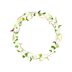 Microgreens forming a circle on white background