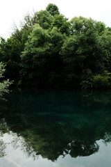 Still turquoise water reflecting dense green forest at Krupajsko vrelo in Serbia, creating a mirror-like surface and serene atmosphere.