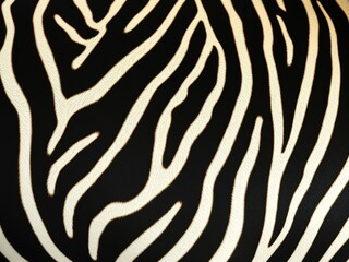 Close-up view of a zebra's skin texture.
