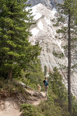 Woman hiking with dog on forest trail in the Dolomites mountains with rocky snowy peaks in the background.