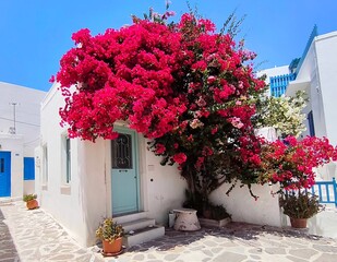 Photo of a charming cobblestone alley in Parikia on Paros island, Greece, featuring whitewashed buildings, blue doors, blooming flowers, and serene Mediterranean architecture.