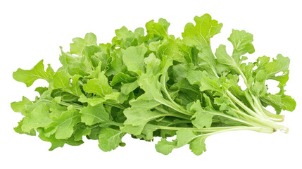 Obraz premium Green mizuna leaves with serrated edges, Japanese mustard green, Transparent background, PNG file