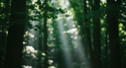 Serene sunlight dappled forest: dreamy bokeh, lush green, tranquil mood