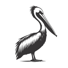 Fototapeta premium Coastal Pelican Silhouette Standing – Black Vector Graphic for Ocean Designs and Wildlife Clipart
