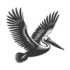 Flying pelican silhouette black vector for coastal wildlife art ocean bird clipart and nature designs