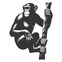 Climbing chimpanzee silhouette black vector for jungle wildlife art animal clipart and nature designs