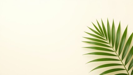 Lush Green Palm Leaf on a Light Background
