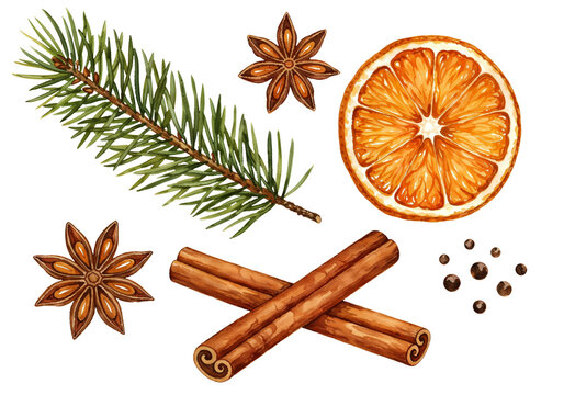 Watercolor holiday spice and botanical element set isolated for festive invitations and packaging