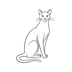Elegant feline sitting gracefully animal domestic
