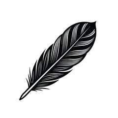 Fototapeta premium feather isolated on white background