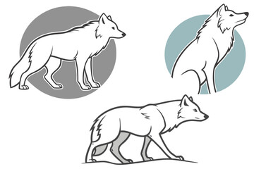 Fototapeta premium set of wolves