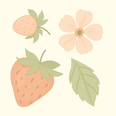 A charming vintage style vector set featuring hand-drawn strawberries, a delicate flower, and a leaf in soft pastel colors. Ideal for food packaging, recipe cards, children's books, and spring designs