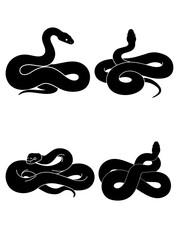 full body snake with 4 different poses vector