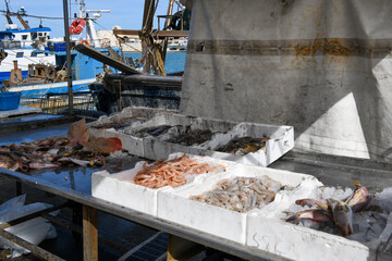 Fresh fish display at the port of Trani on Apulia, Italy