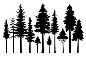 Fototapeta premium Pine Tree Silhouette Collection Isolated on White Background – Vector Set