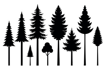 Fototapeta premium Pine Tree Silhouette Collection Isolated on White Background – Vector Set