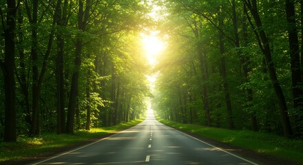 Naklejka premium A scenic autumn road winds through a foggy forest, its path lined with vibrant, colorful trees