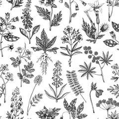 Witch herbs seamless pattern. Poisonous plants background. Apothecary herbs hand-drawn vector illustration. Bohemian design. NOT AI generated
