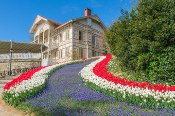 Spring Elegance at Emirgan Grove: Ottoman Pavilion Amid Blooming Tulips