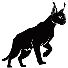 Caracal silhouette, A striking silhouette of a caracal, showcasing its distinctive features with artistic precision and bold contrast.