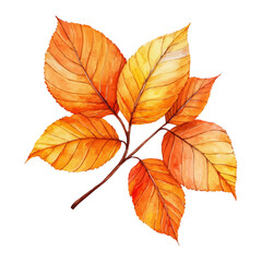 watercolor vector of Golden Autumn Leaves Glow, isolated on a white background.