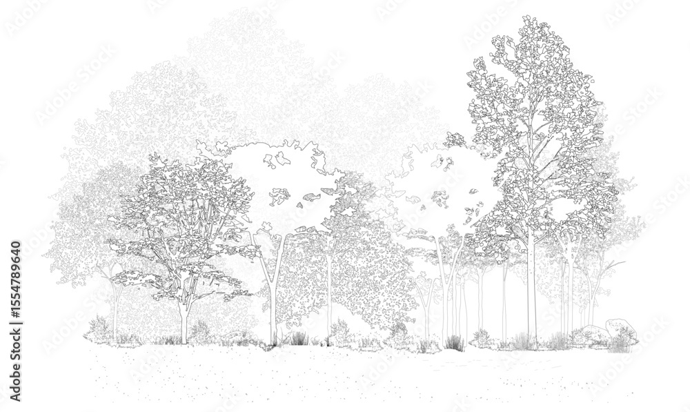 Poster architectural drawings, minimal style cad tree line drawing, side view, set of section wetland fores