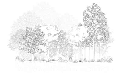 Architectural Drawings, Minimal style cad tree line drawing, Side view, set of section wetland forest outline for landscape design drawing. Vector illustration in separate element