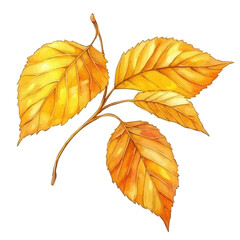 Golden Autumn Leaves Glow, watercolor clipart vector, isolated on a white background.