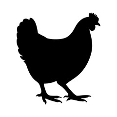 Chicken silhouette or hen silhouette standing side view 2