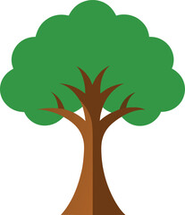 Teak Tree: Premium Hardwood

