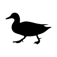 Duck silhouette walking side view