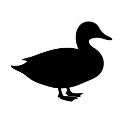 Duck silhouette standing side view