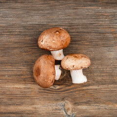 Pile of delicious champignon mushrooms on wooden background