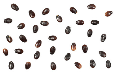 Watermelon seeds, macro isolated on white background, top view