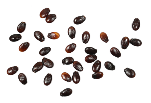 Watermelon seeds, macro isolated on white background, top view