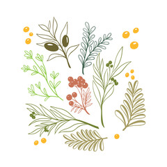 vector illustration of a  boho floral 