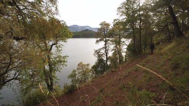 Man walking in Huella Andina trail in &Ntilde;orquinco lake with autumnal colors. Parque Nacional Lanin. Neuquen, Argentina