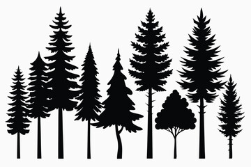 Obraz premium Silhouettes of evergreen trees in a forest&nbsp;setting